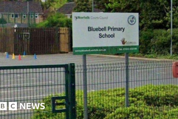 Norwich teacher 'inappropriate' for showing blackface Sinbad film
