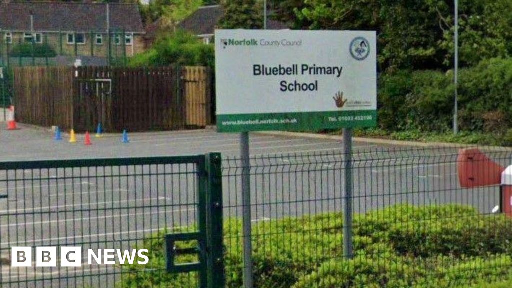 Norwich teacher 'inappropriate' for showing blackface Sinbad film