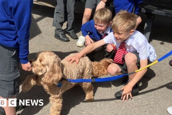 Northampton Saints hosts pupils' mental health day